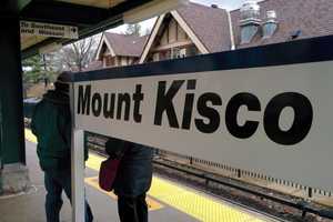 Woman With Warrant Arrested At Mount Kisco Metro-North Station