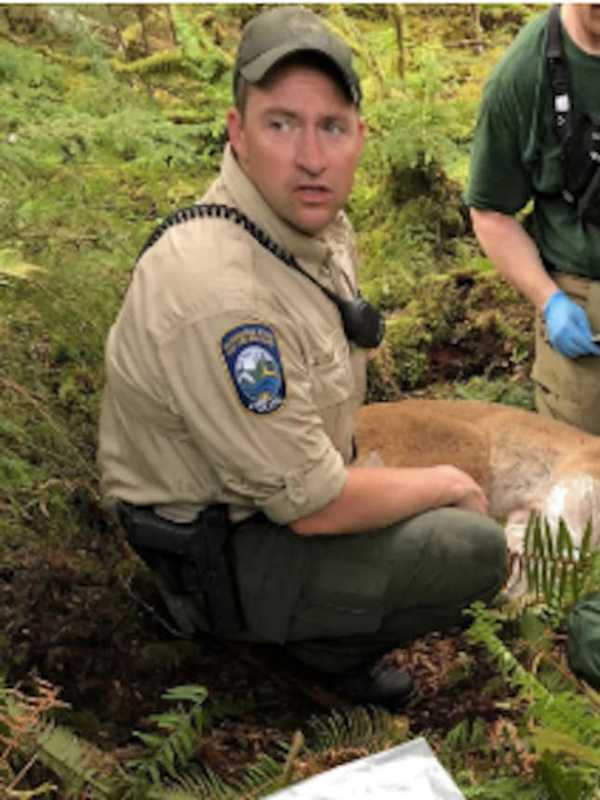 Lone Survivor Of Fatal Cougar Attack ID'd As Area Native