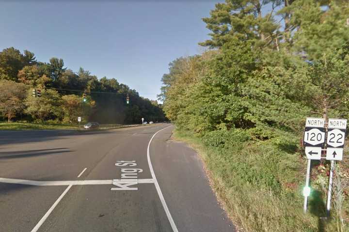 Slow Go: Police Called For Turtle Crossing Route 22 In Armonk