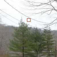 <p>Another angle: The box marks the approximate location of a proposed Verizon cell tower on Hickory Lane in Bedford Village.</p>