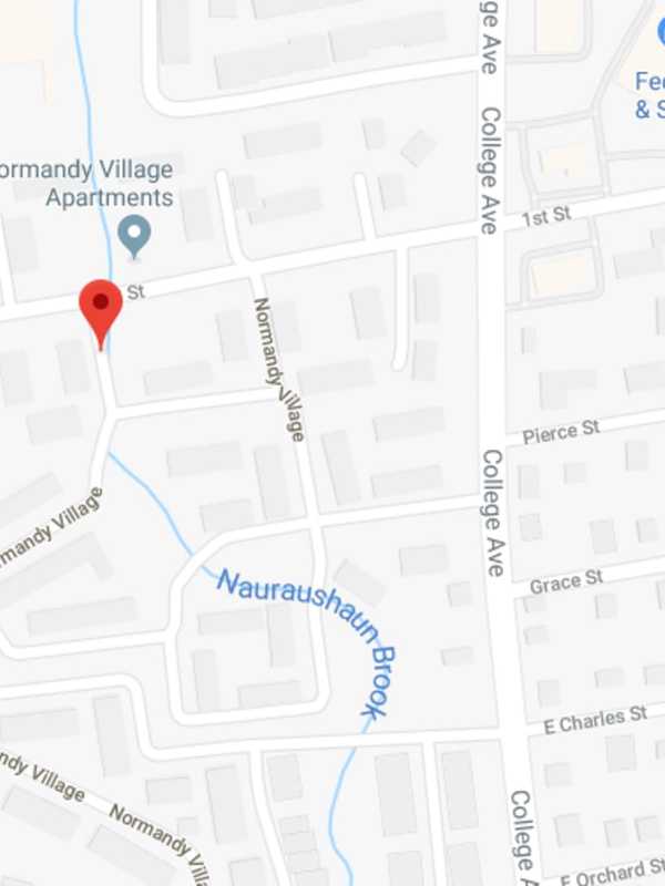 Suspects On Loose After 89-Year-Old Woman Assaulted In Nanuet