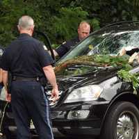 <p>A Mercedes Benz that had just exited Route 208 northbound in Glen Rock afternoon was crushed by a falling tree limb Sunday afternoon.</p>