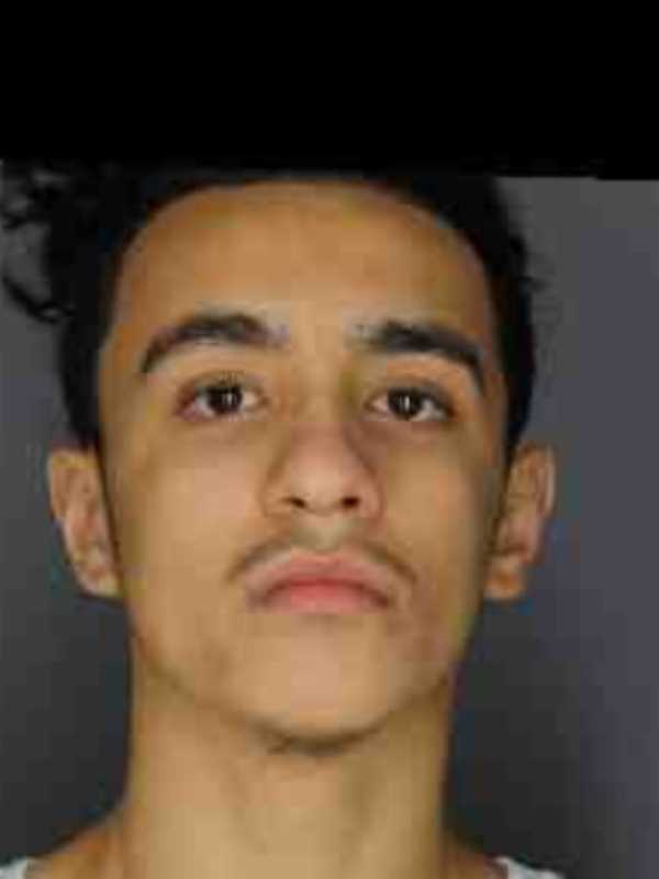 Five Teenagers Nabbed In Thefts Of Cars In Westchester