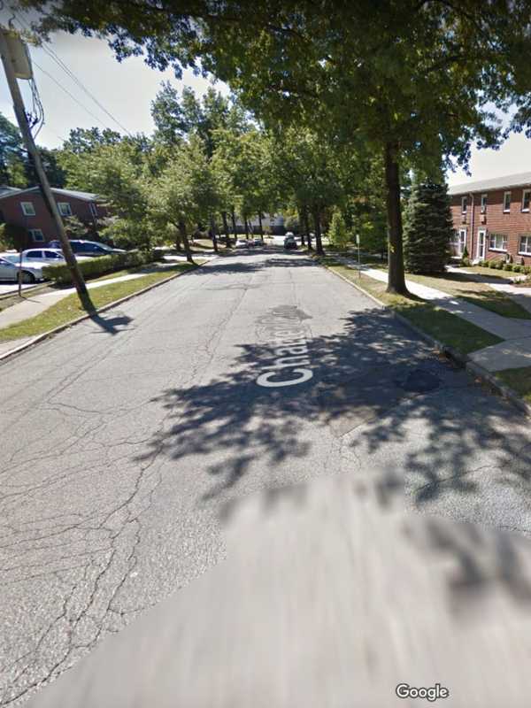 Downed Lines Knock Out Power In Ossining