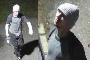 Know Him? Police Seek To ID Suspect In Criminal Investigation