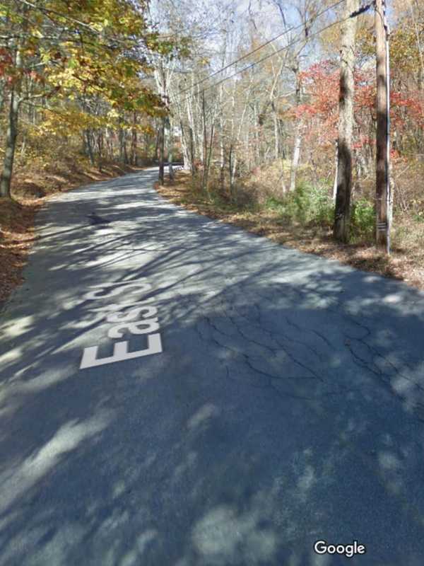 Connecticut Woman Killed After Being Pinned Between Tree, Rolling Car