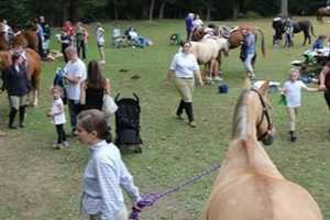 48th Annual Horse Show & Country Fair Attracts Thousands At Blue Mountain