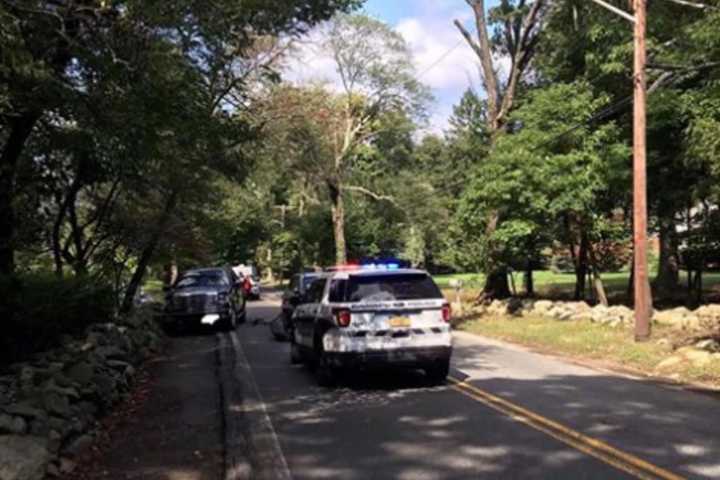 Man Struck By Car Pronounced Dead At Westchester Medical Center