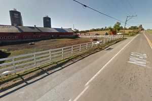 Fast-Moving Fire Destroys Barn, 47 Cows At Hudson Valley Farm Family Owned Since 1770