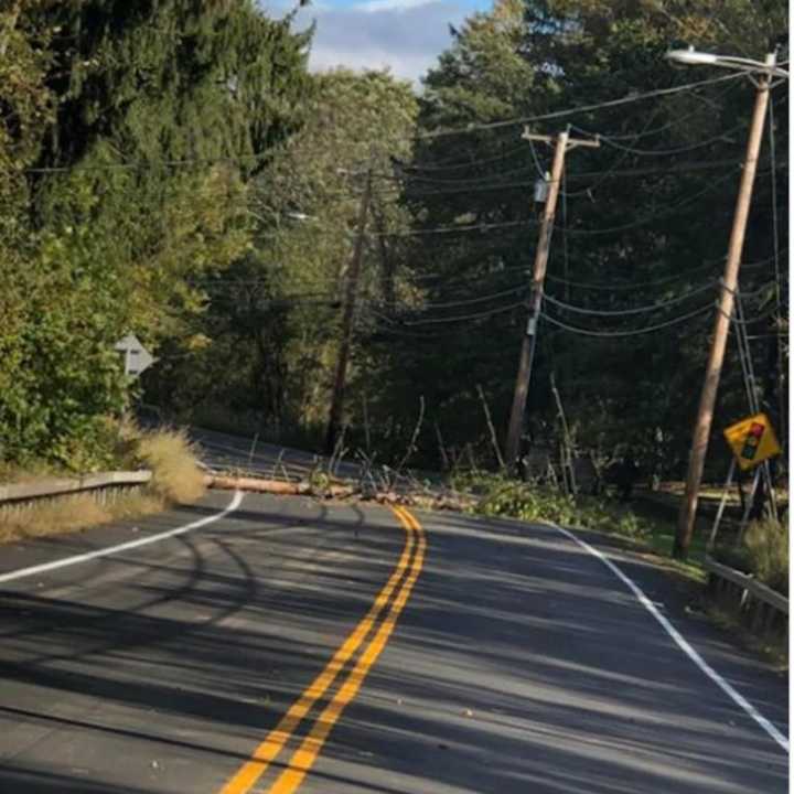 The downed tree and wires.