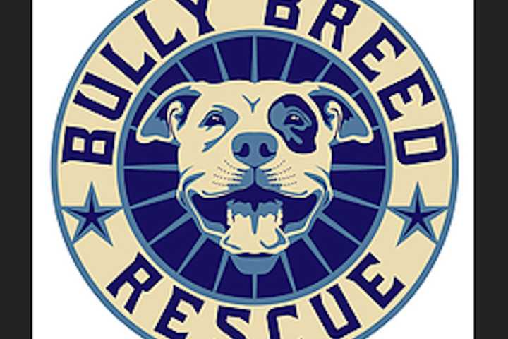 New Canaan-Based Rescue Group Ex-President Faces Animal Cruelty Charges After Five Dogs' Deaths