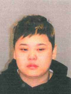 Woman Caught Trying To Steal $3.9K Chanel Handbag At Saks, Greenwich Police Say