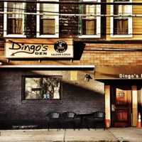 <p>Dingo&#x27;s Den in Clifton</p>