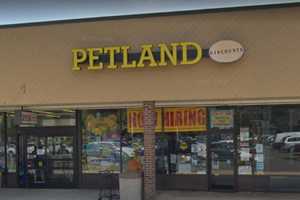 Owner's Death Puts Petland Out Of Business