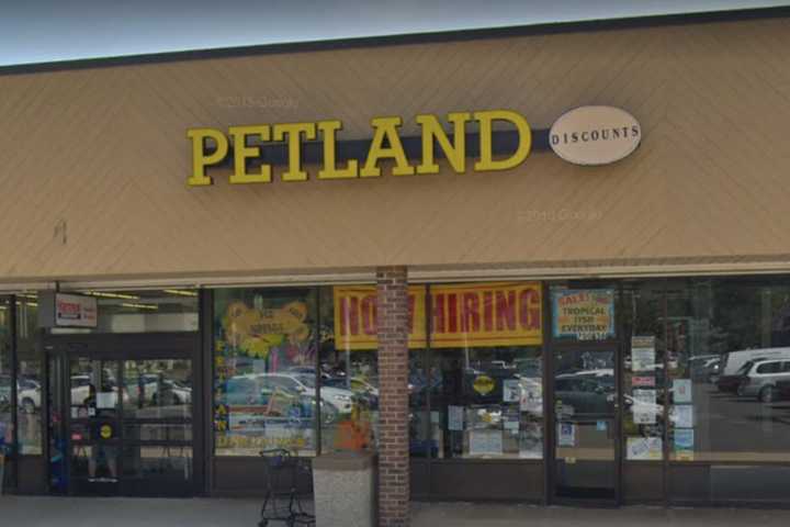 Petland discounts near me best sale