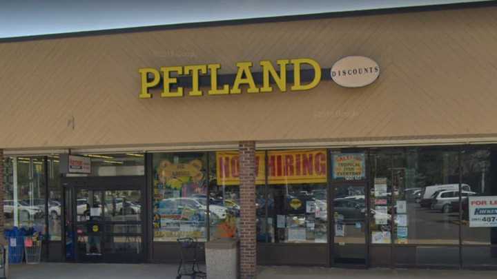 Petland Discount in Westwood is among the 10 New Jersey stores to close.