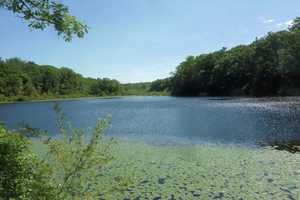 Port Chester Teens Rescued After Saving Dog At Lake