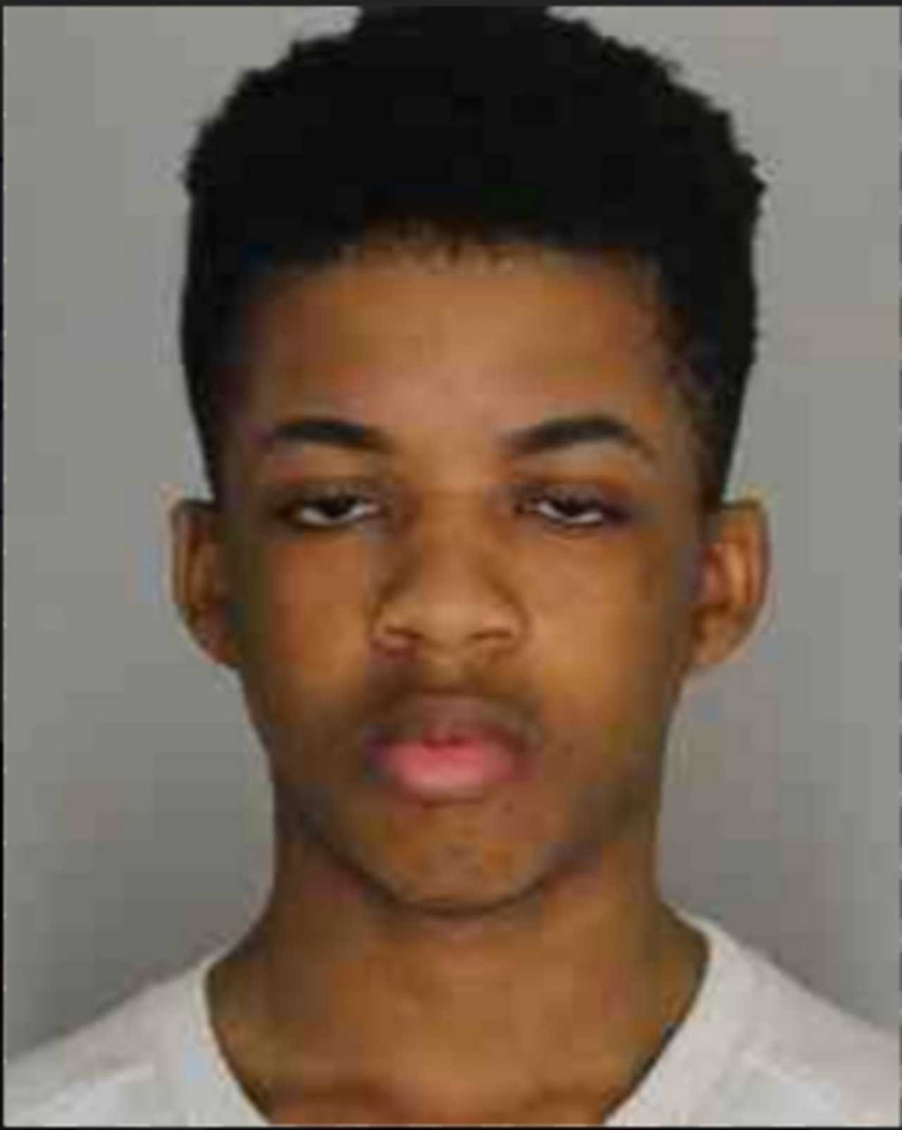 Teen Sentenced For Stalking Westchester Classmate In Incident Resulting In Her Death Mount 