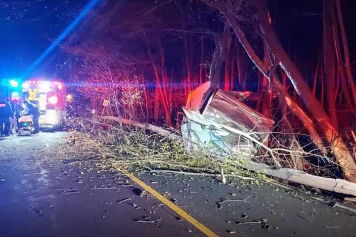 Mail Truck Crashes Into Trees, Causing Hours-Long Route 306 Closure In Wesley Hills