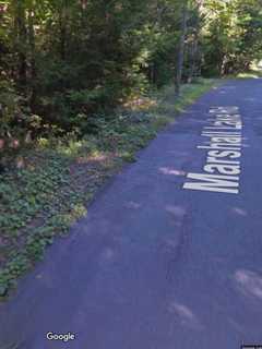 School Bus With Students Aboard Crashes Into Pole, Tree To Avoid Deer In Torrington