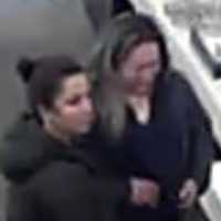 <p>Surveillance photos have been released of the women who stole eyeglass frames from a store in Huntington Station in April.</p>