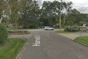 Suspect Taken Into Custody After Struggling With Police Following Crash In Westchester