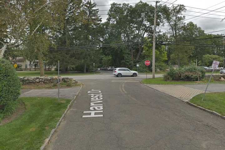 Mamaroneck Man Arrested After Struggling With Police Following Car Crash