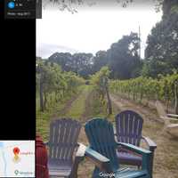 <p>Loughlin Vineyard in Sayville offers a special tasting in May.</p>