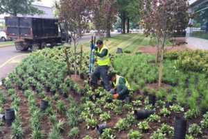 Morris County Landscaping Company Agrees To Compensate Workers Owed $530G In Overtime