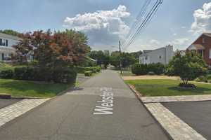 Two Dogs Quarantined After Breaking Through Screen Door, Biting Mailman In Westchester