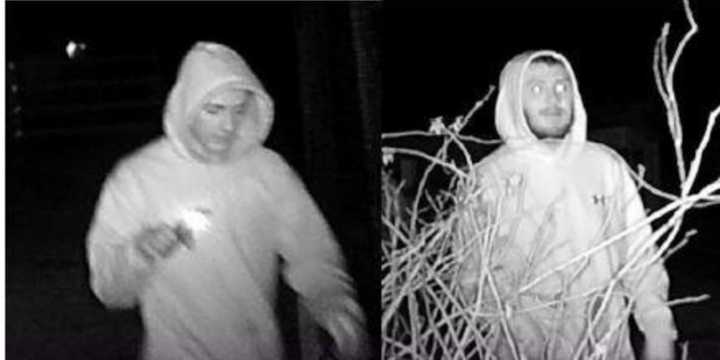 Know them? Police are attempting to identify several men who allegedly vandalized the Smithbriar Nature Center.