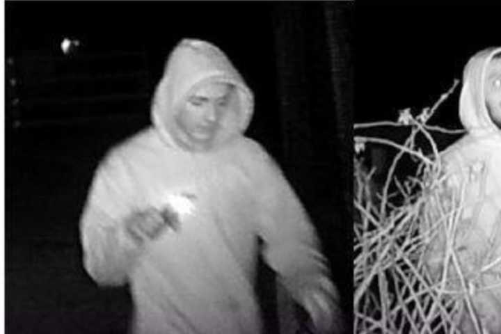 Know Them? Vandals Break Into Nature Center In Smithtown, Feed Animals Beer