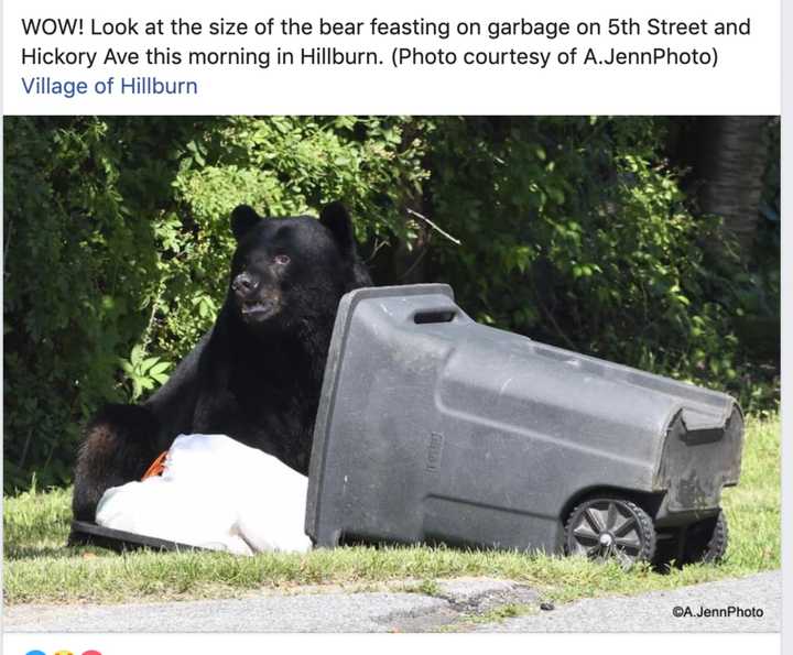 &quot;WOW!,&quot; Ramapo Police wrote on Facebook, &quot;Look at the size of the bear feasting on garbage on 5th Street and Hickory Ave.&quot;