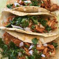 <p>Taco Buzz in Fair Lawn</p>