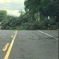 <p>Roadways remain blocked due to numerous trees down.</p>