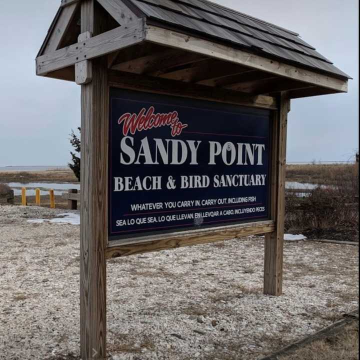 An arrest has been made after a small dog was found burned to death in the parking lot of Sandy Point Beach.