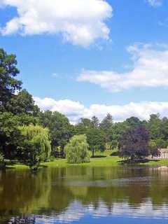 22-Year-Old Man Found Floating In Water At Area Park