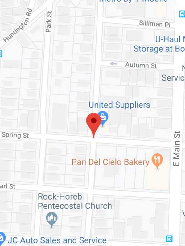 Man Strangles Kitten To Death During Bridgeport Domestic Incident, Police Said