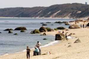 Swimming Resumes At Wildwood State Park After High
Bacteria Counts Caused Closure