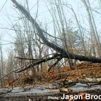 <p>Hundreds were left without power after thunderstorms rolled through the region.</p>