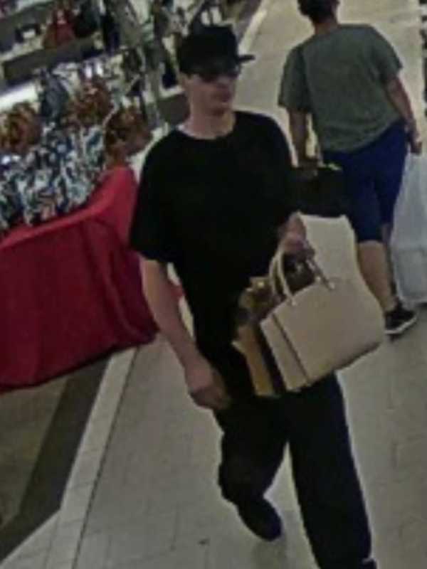 Seen Him? Man Stole Handbags Valued At $500 At Smith Haven Mall, Police Say