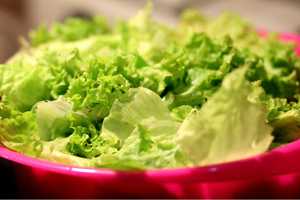 Recall Issued For 97K Pounds Of Salad Products Due To E. Coli Scare