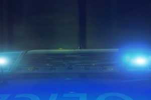 ID Released For Hicksville Man Killed In Hit-Run Westbury DWI Crash
