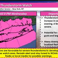 <p>The Severe Thunderstorm Watch covers the area shown above and is in effect until 9 p.m. Wednesday, Aug. 7.</p>