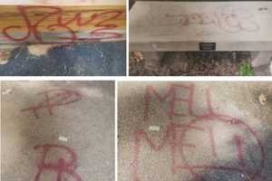 Symbols Spray-Painted On Walls, Benches, Walkways Of Shrine In Manorville