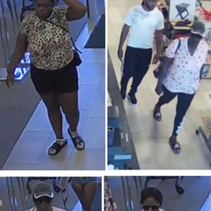 Police are on the lookout for one man and three women who allegedly worked together to steal a Louis Vuitton bag from Stein Mart (210 Jericho Turnpike) on Sunday, Aug. 4 around 2:45 p.m.