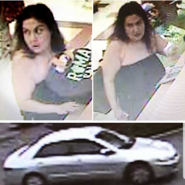 Police are on the lookout for a woman suspected of stealing a pocketbook from a shopping cart at Stop &amp; Shop (365 Route 109) on Friday, Aug. 2 around 12:15 p.m.