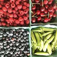 <p>Berries and veggies picked from Och&#x27;s Orchard.</p>