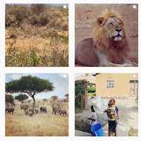 <p>Shimek shared photos of her trip on Instagram.</p>