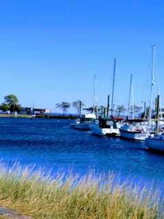 Body Found Floating In Water Off Stamford Marina